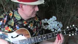 Blue Hula - Slide instrumental in open G - Blues, Hawaiian slack key and Steel Guitar chords