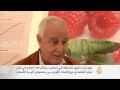 المهرجان السنوي للفراولة في المغرب