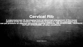 Medical vocabulary: What does Cervical Rib mean