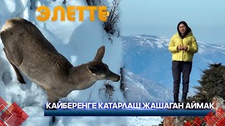 картинка: Туристтик аянтчага айланган Тар-Суу айылы // ЭЛЕТТЕ берүүсү