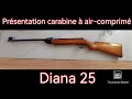 Carabine à Air Comprimé Diana 25 Calibre 4 5mm Présentation