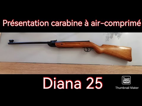 Carabine à Air Comprimé Diana 25 Calibre 4 5mm Présentation 
