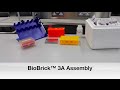 Protocol 3 biobrick 3a assembly