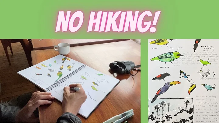 nature journaling with no hiking