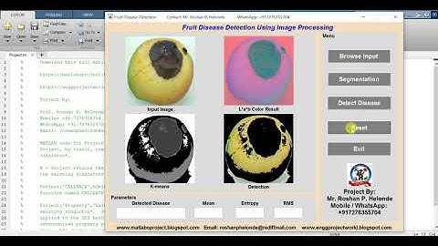 Matlab Code for Fruit Disease Detection Using Image Processing