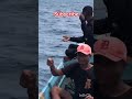 MANCING DI LAUT DAPAT BANYAK GAYS #petualang #shorts