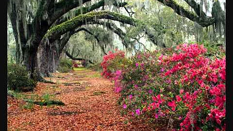 Diane Arkenstone - The Secret Garden