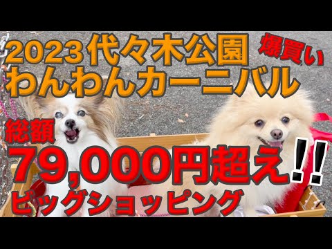 【代々木わんわんカーニバル】過去最大の爆買い‼️ついに買っちゃいました🐶 #代々木公園#犬イベント#パピヨン#ポメラニアン