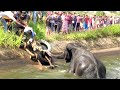 Wild Elephant Fallen to a canal.| Amazing Moments Of Rescue Wild Elephant