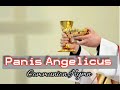 Panis Angelicus with Latin & English Lyrics