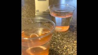 Peppermint Dissolving Experiment