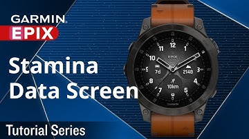 Tutorial – epix: Stamina Data Screen