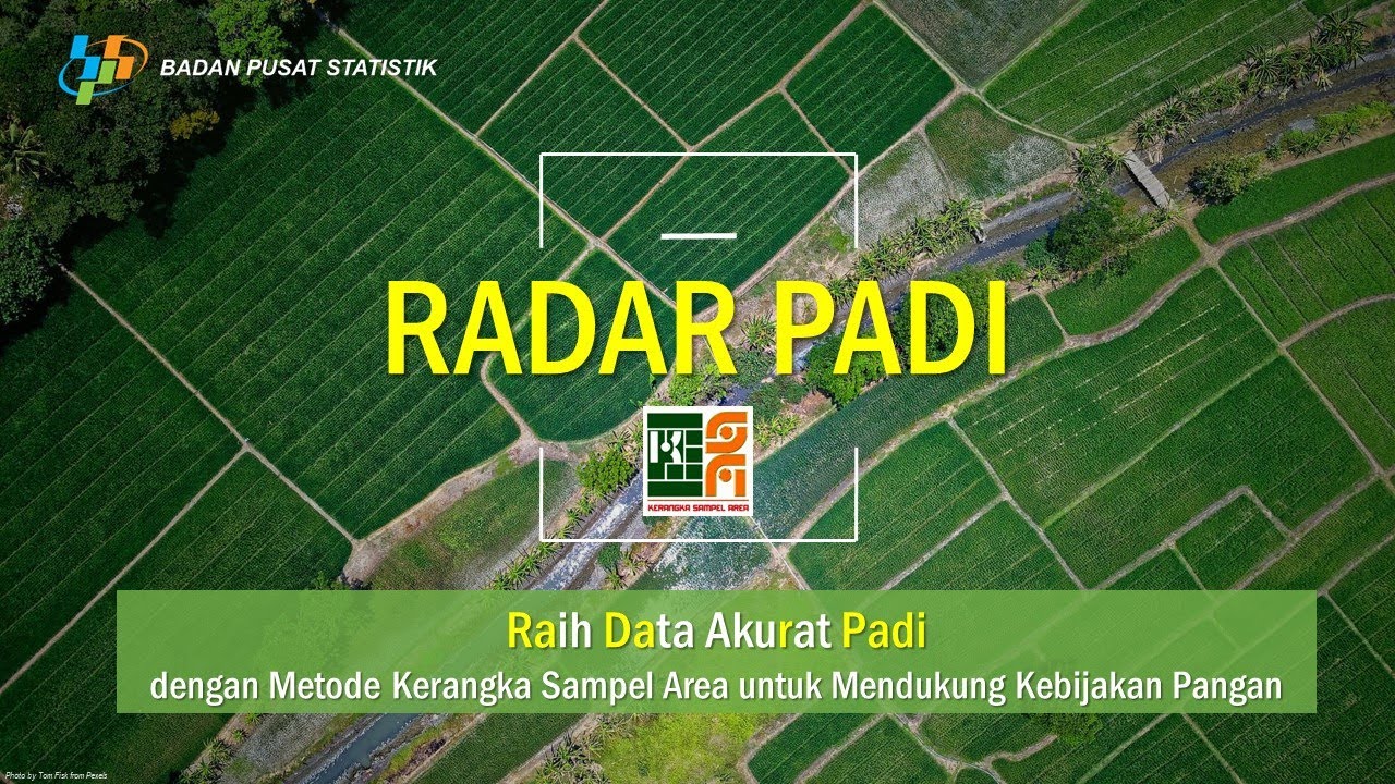 badan pusat statistik papua