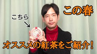 【紅茶紹介】この春、飲んでおきたいオススメの紅茶！