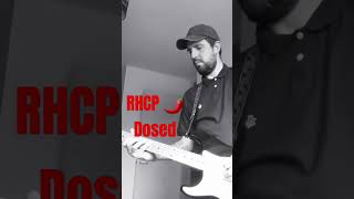 red hot chili peppers guitar loop #dosed #bytheway #guitarloop #overdrive #stratocaster #rhcp 🌶