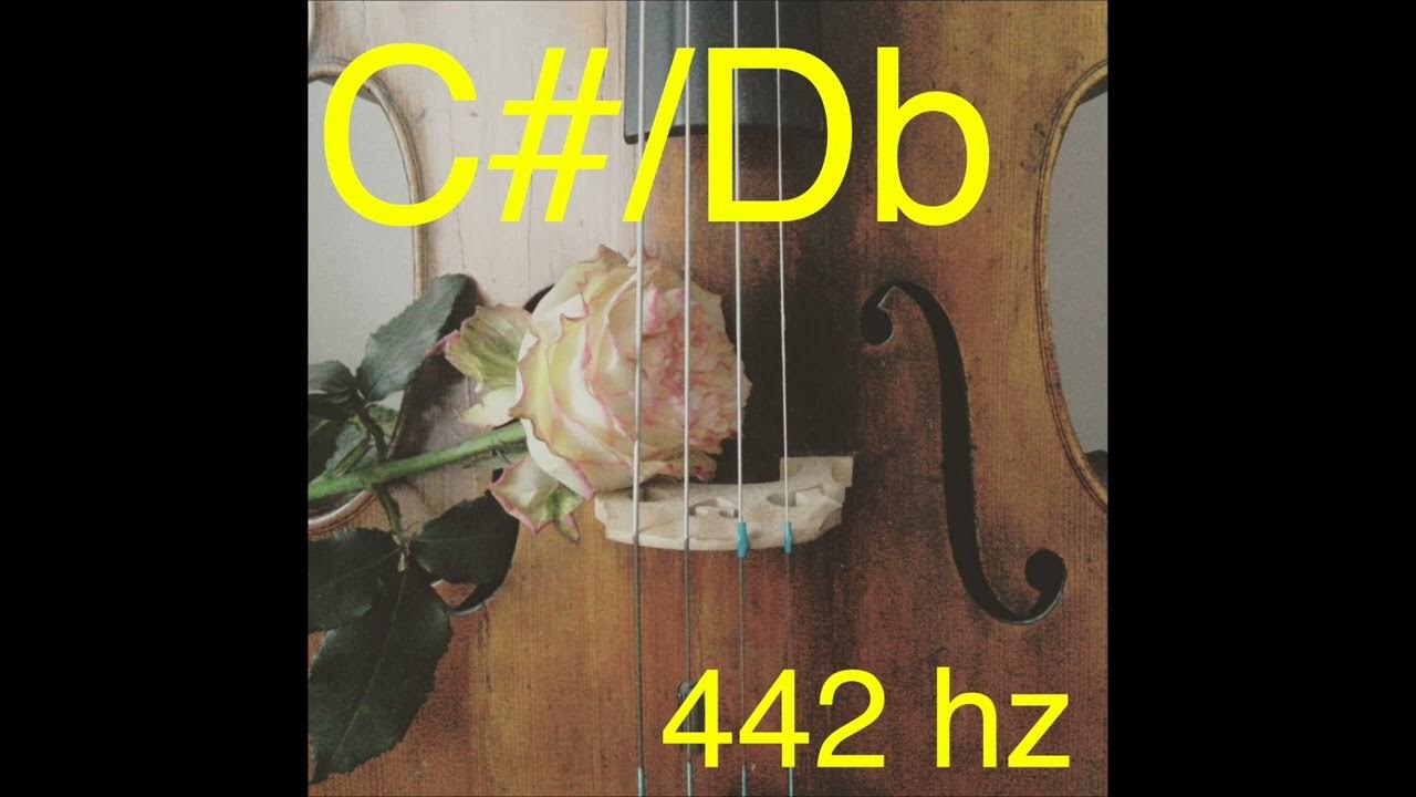 Cello Drone C/D♭ (442 hz) 🎻 YouTube