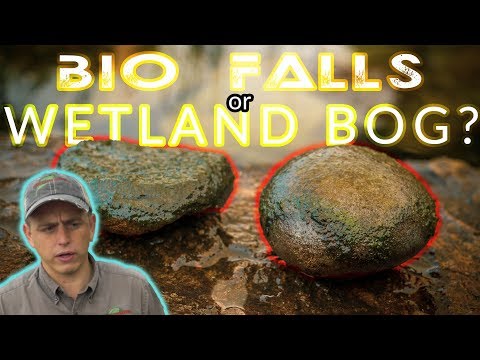 BIOFALLS vs WETLAND Bog Filtration - Koi POND | Huntingdon PA