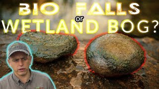 BIOFALLS vs WETLAND Bog Filtration - Koi POND | Huntingdon PA