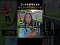 ゴールを的中させるサッカー予言者セリーヌ_