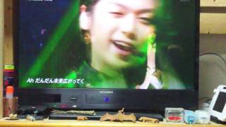 Hey! Say! JUMP！Fantastic Time