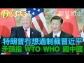 特朗普冇想過制裁習近平 矛頭指 WTO WHO 親中國 誠邀加入網台 ［智慧如水］ 20200604