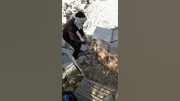 bullnose Video