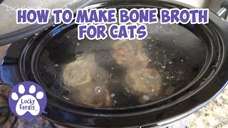 How To Make Bone Broth For Cats * S4 E92 * Homemade Bone Broth Recipe