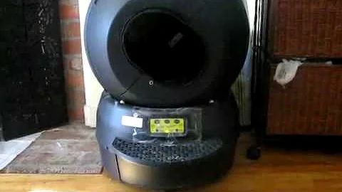 Video 1222481: sphynx kitten, sphynx family, clean sphynx, kittens litter