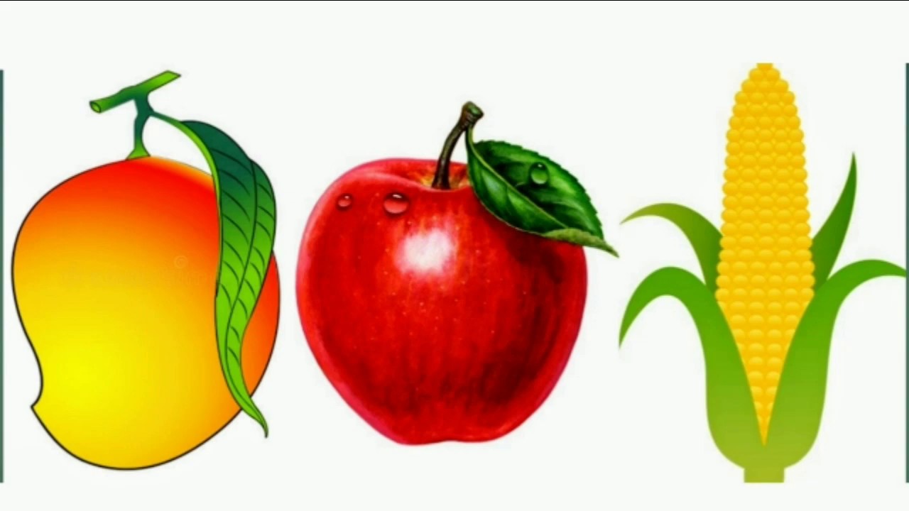 Simple drawing Apple, Mango and Corn crop//Apple drawing//mango drawing