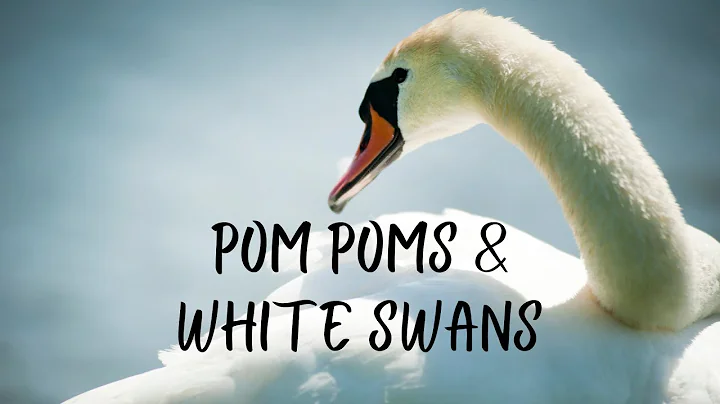 Pom Poms & White Swans