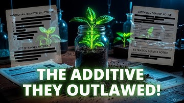 The Banned Soil Additive That Revives Beds in One Week