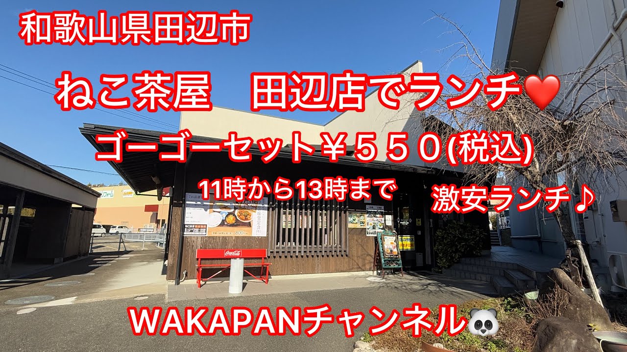 和歌山県田辺市　ねこ茶屋　田辺店でランチ❤️ゴーゴーセット¥550(税込)WAKAPANチャンネル🐼
