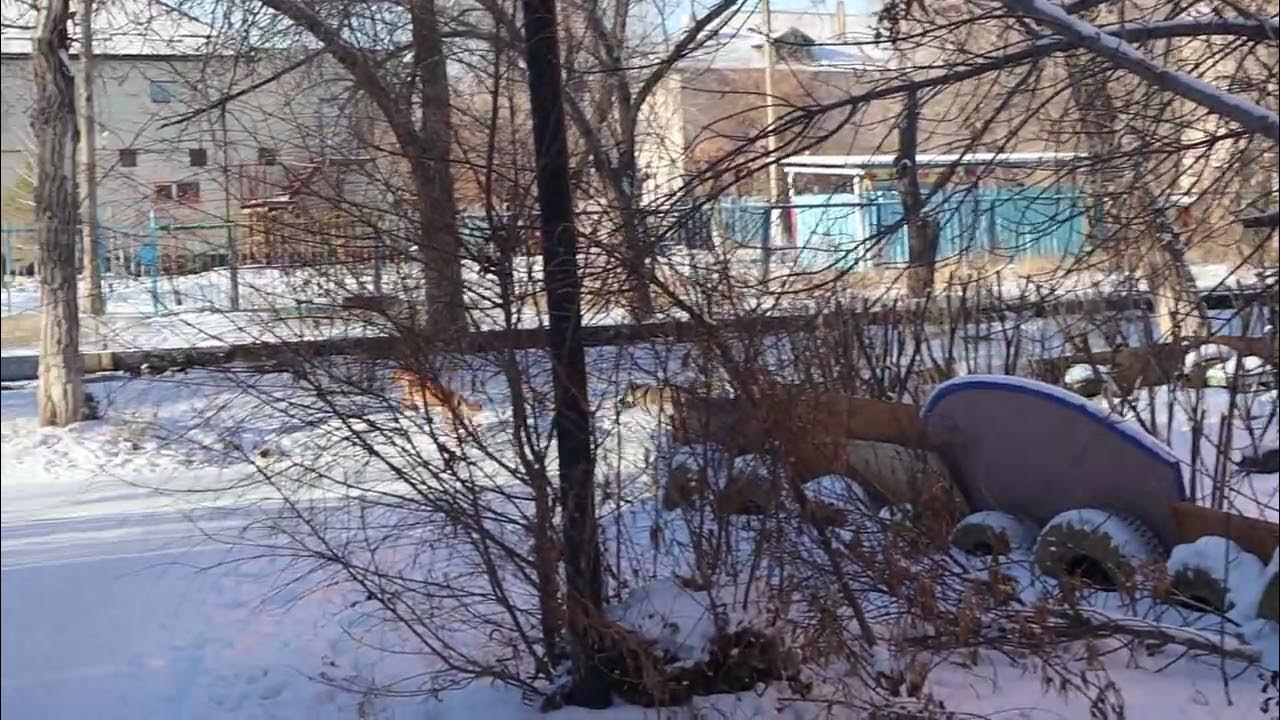 Участок 1 новотроицка. Зиянчурино фото. Дороги новотроицк нижнем. Улица марии корецкой 33а новотроицк. Новотроицк пос аккермановка солнечная 13.