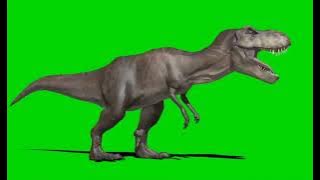 chroma key Tyrannosaurus Dinosaur Green Screen VFX & CGI effects