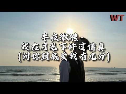 半夜微醺 - 我在月光下许过情真（问你到底爱我有几分）『别叫我等我留着泪到清晨，还没抽完的烟是我们俩的结。』【动态歌词MV】