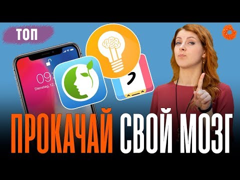 ТОП 5 приложений, чтобы прокачать мозг