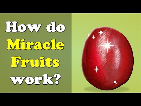 ચમત્કાર ફળો કેવી રીતે કામ કરે છે?
