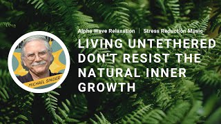 Living Untethered and Don't Resist the Natural Inner Growth | Michael Singer | Alpha Wave Relaxation