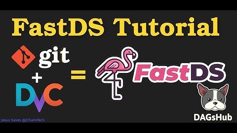 Using FastDS For Data Version Control  (Dagshub Tutorial)