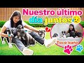 🥺 ÚLTIMA RUTINA con LOS CACHORROS 🐶 💔 SE VAN A SUS NUEVOS HOGARES🏡 ¡ÚLTIMO PASEO Y COMPRAS! 🛍