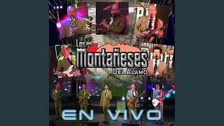 Video thumbnail of "Los Montañeses del Alamo - Cuando Más Tranquila Te Halles"