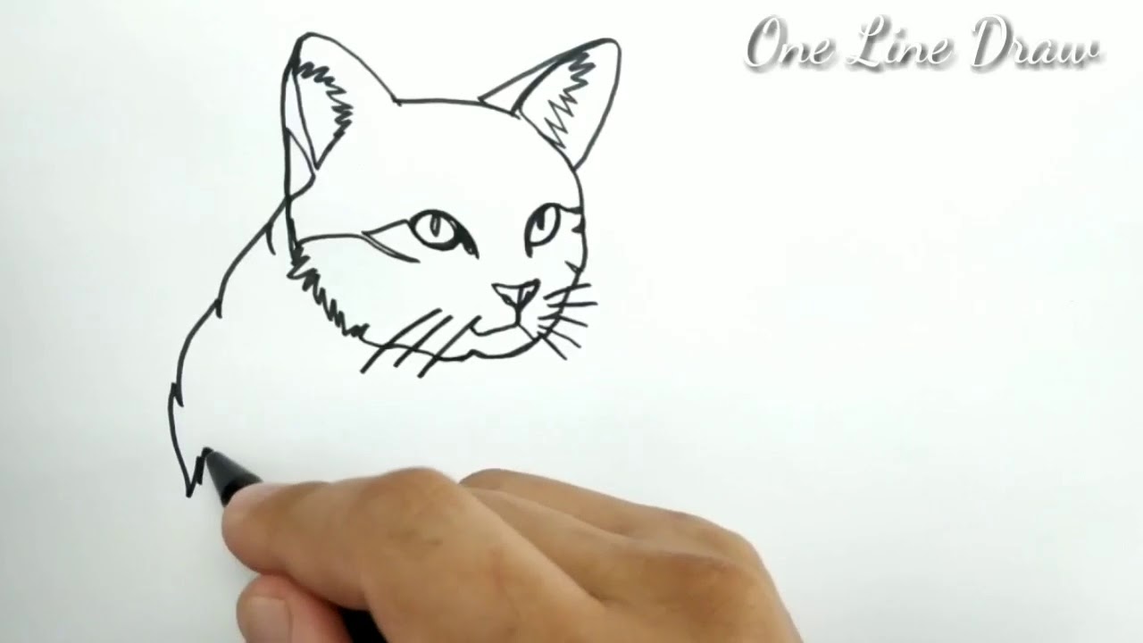 VERY EASY , one line drawing cat / drawing by one line ...