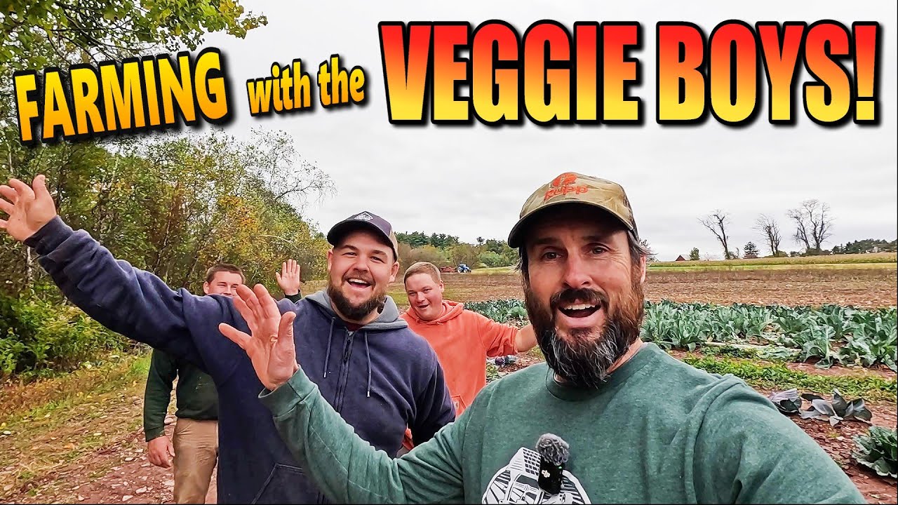 Я посетил Veggie Boys и помог собрать урожай картофеля!