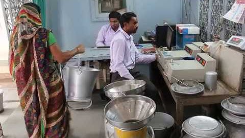 Live Milk Collection with Prompt Automatic Milk Collection System