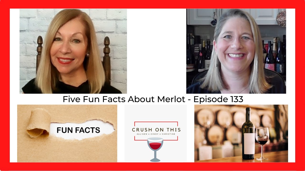 Five Fun Wine Facts About Merlot - Crush On This Episode 133