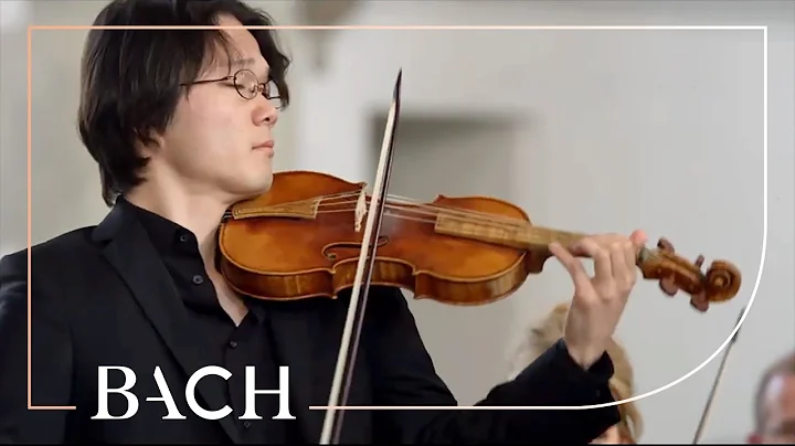 Bach - Erbarme dich, mein Gott from St Matthew Pas...