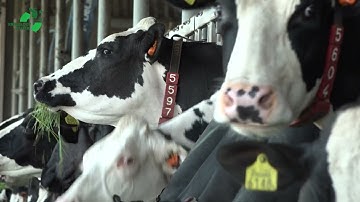 Tip 15 - aan de slag met ammoniak