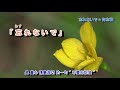 勿忘草 (  川野夏美 )  字義版