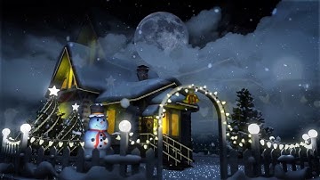 Merry Christmas snow globe promotional video