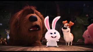 The Secret Life Of Pets - Trailer E